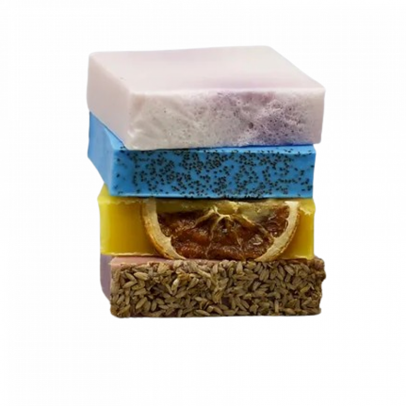 msa-removebg-preview